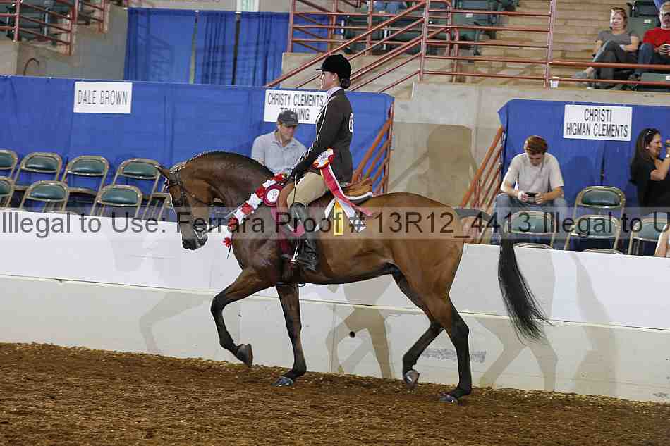 Proof 13r12_4413