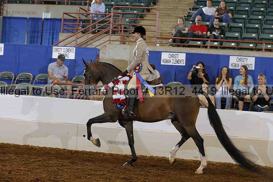 Proof 13r12_4419