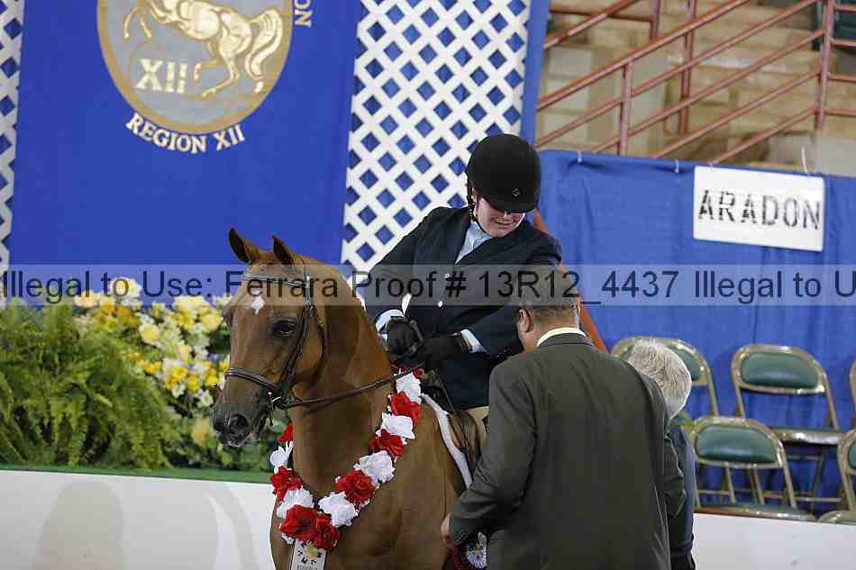 Proof 13r12_4437