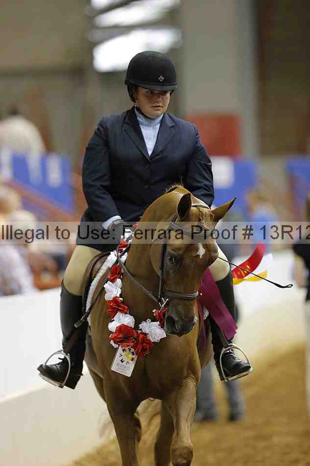 Proof 13r12_4439