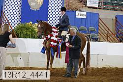 13r12_4441 proof