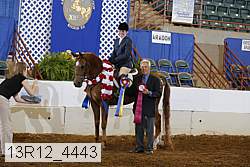 13r12_4443 proof