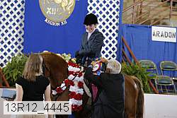 13r12_4445 proof