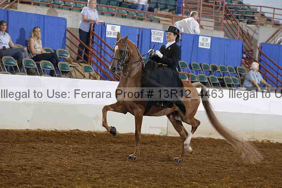 Proof 13r12_4463