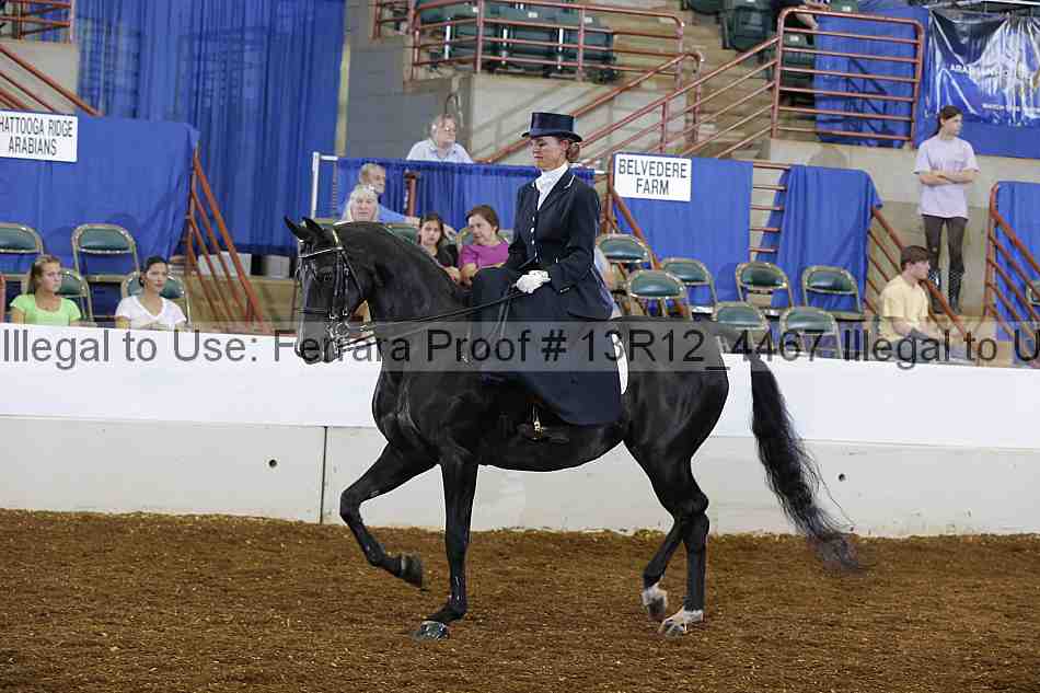Proof 13r12_4467