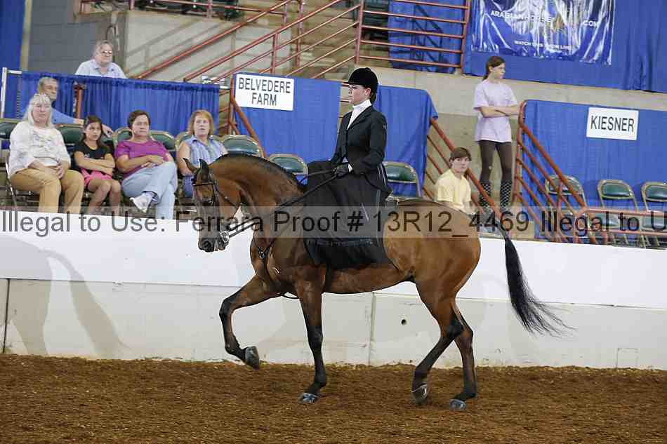 Proof 13r12_4469
