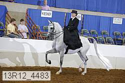 13r12_4483 proof
