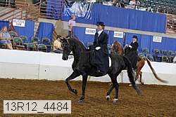 13r12_4484 proof