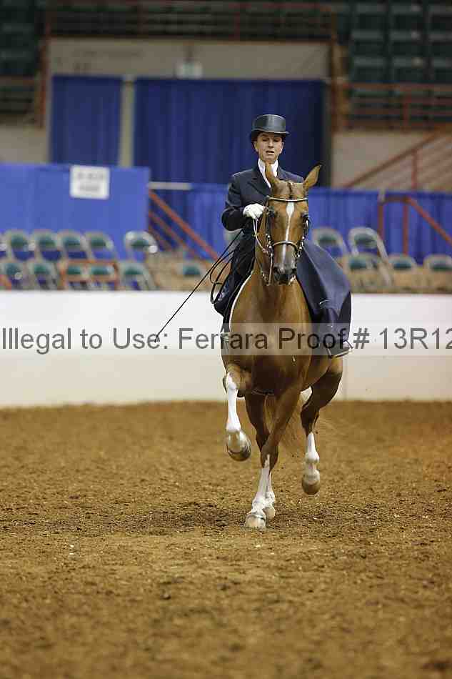 Proof 13r12_4485