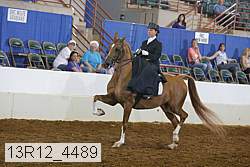 13r12_4489 proof