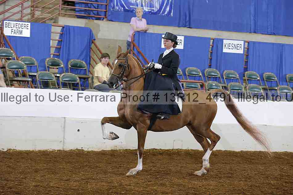 Proof 13r12_4491