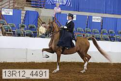 13r12_4491 proof