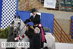 13r12_4493 proof