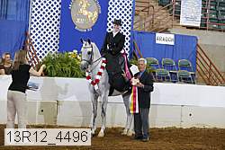 13r12_4496 proof