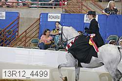 13r12_4499 proof