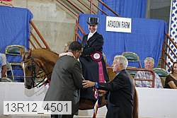 13r12_4501 proof
