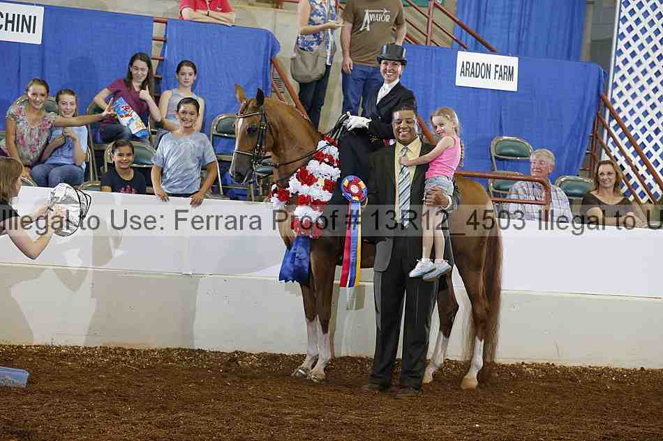Proof 13r12_4503