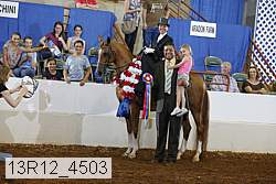 13r12_4503 proof