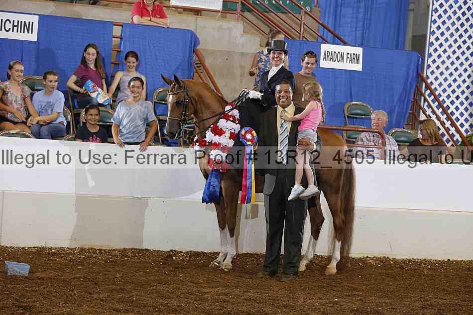 Proof 13r12_4505