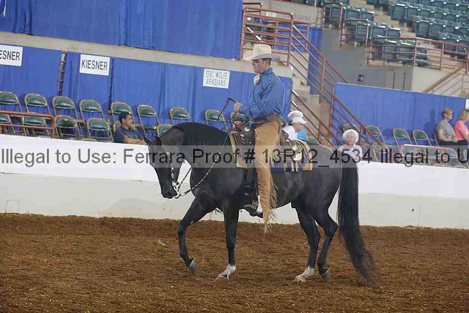 Proof 13r12_4534