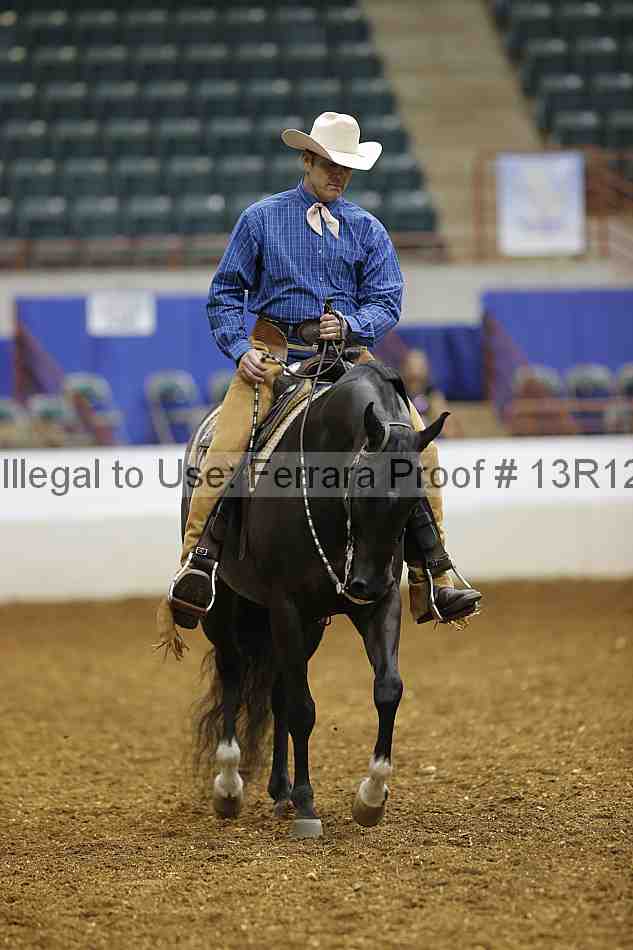 Proof 13r12_4539