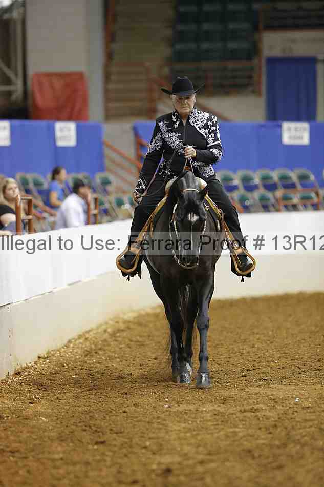 Proof 13r12_4561
