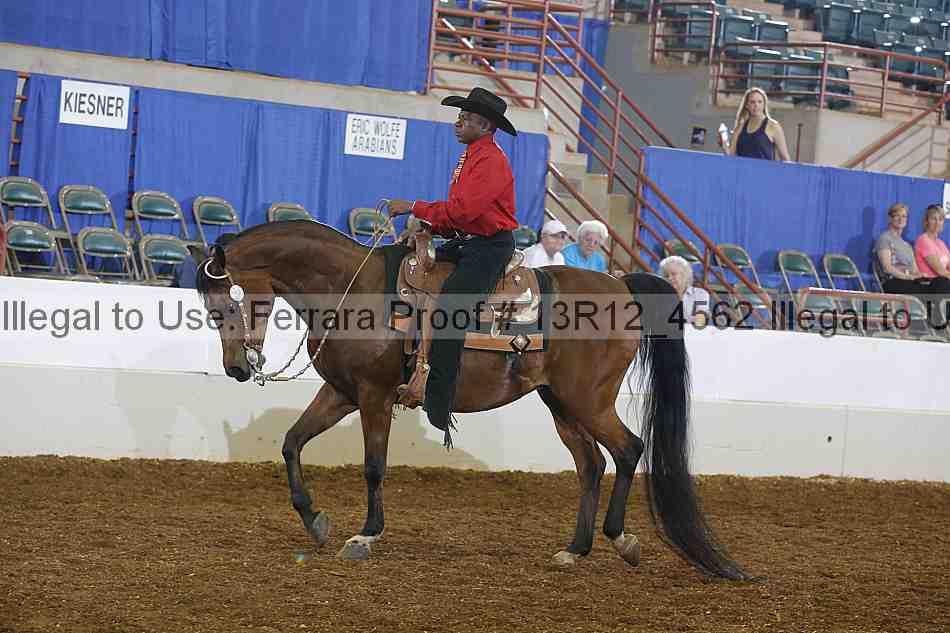 Proof 13r12_4562
