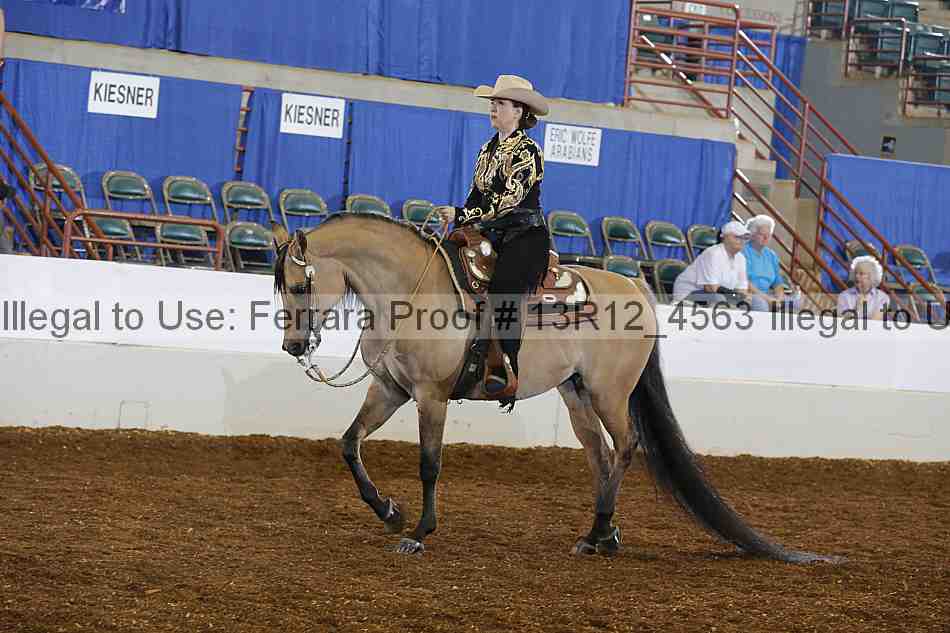 Proof 13r12_4563