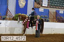 13r12_4572 proof