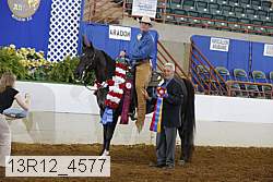 13r12_4577 proof