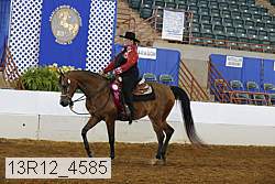 13r12_4585 proof