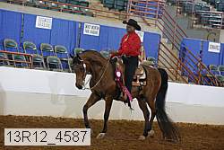 13r12_4587 proof
