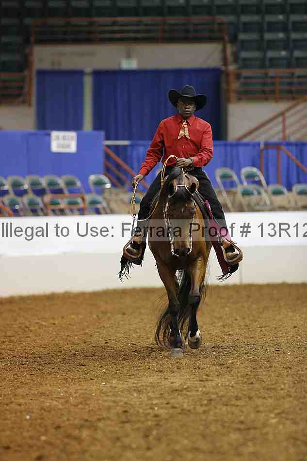 Proof 13r12_4590
