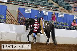 13r12_4601 proof