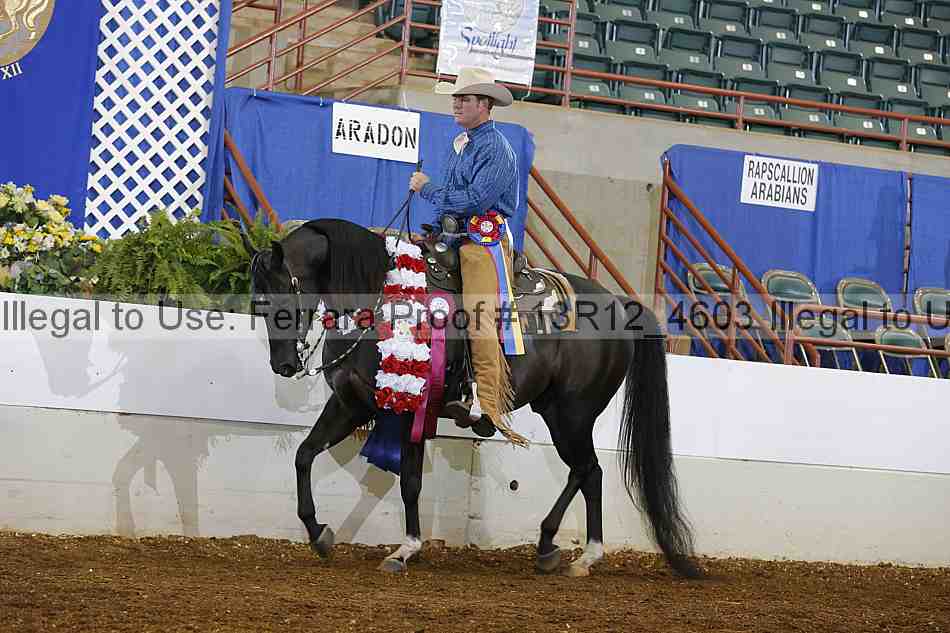 Proof 13r12_4603