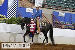 13r12_4603 proof