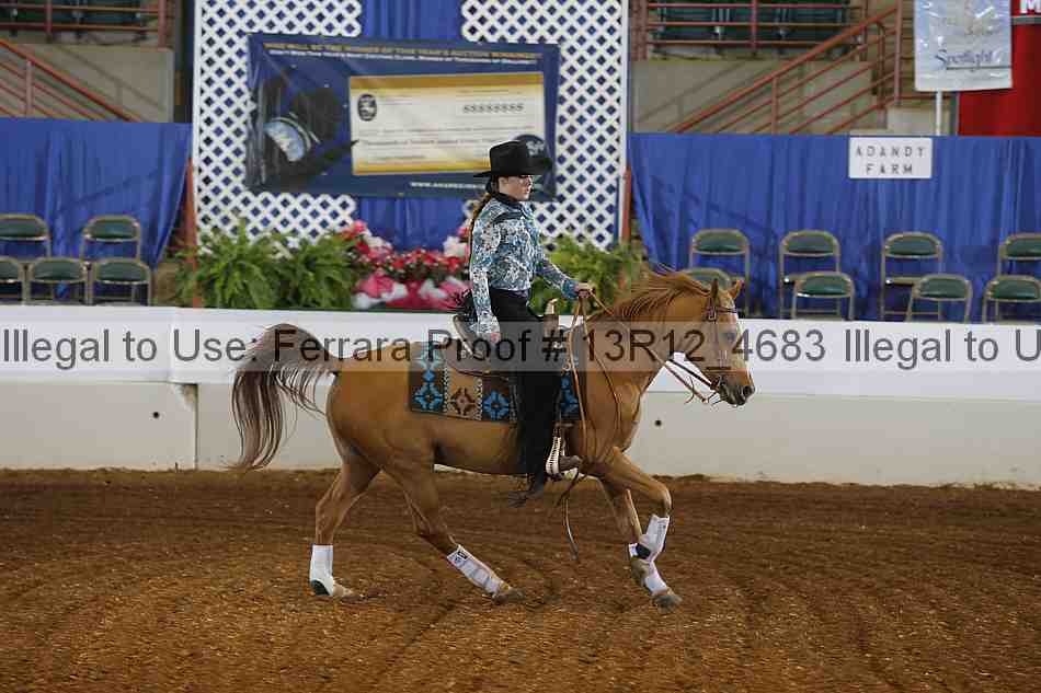 Proof 13r12_4683