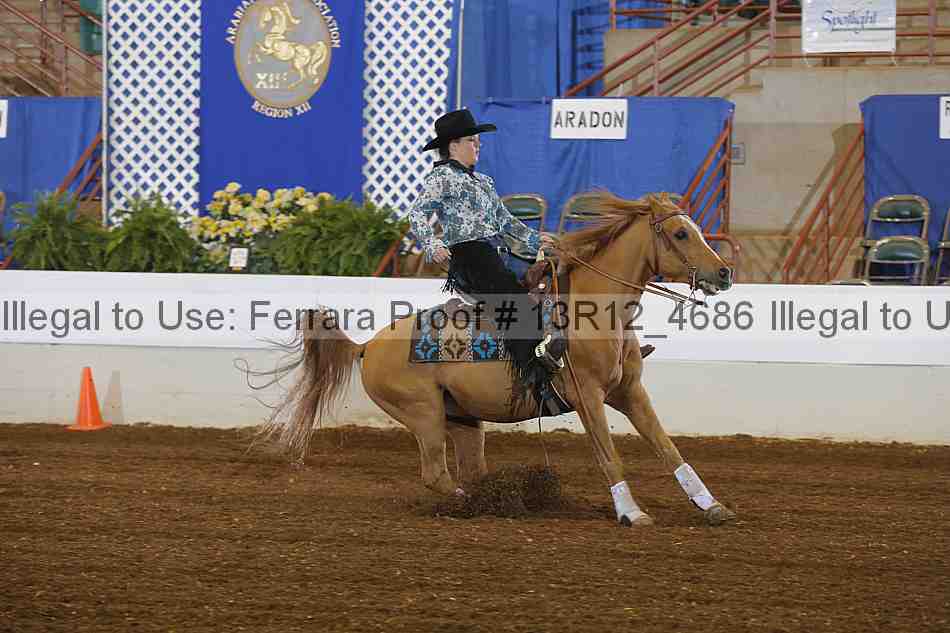 Proof 13r12_4686