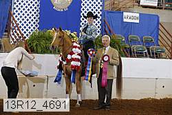13r12_4691 proof