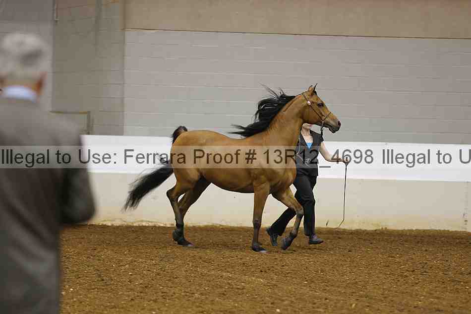 Proof 13r12_4698