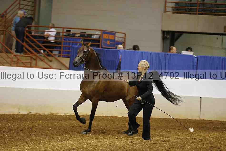 Proof 13r12_4702