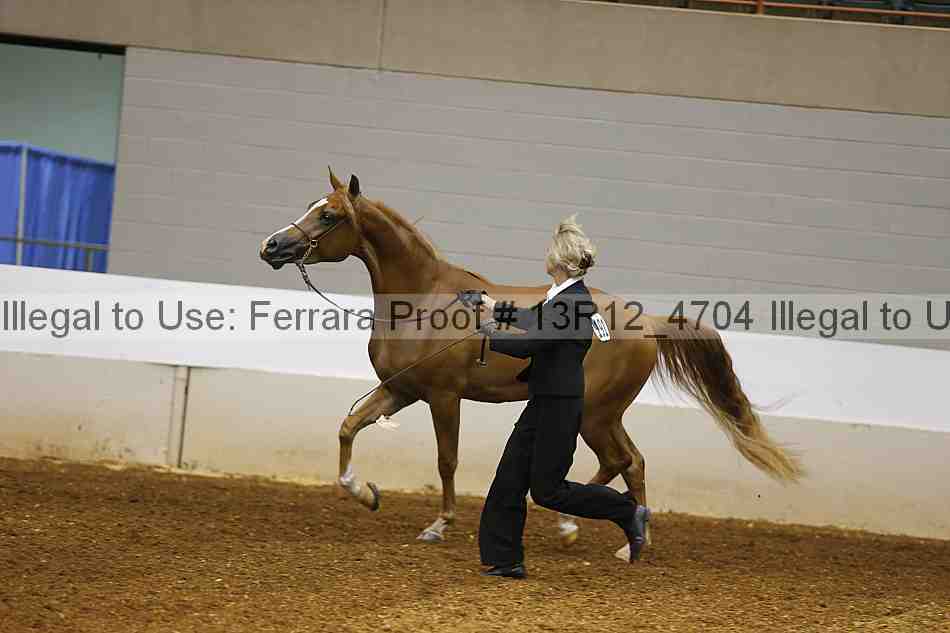 Proof 13r12_4704