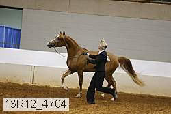 13r12_4704 proof