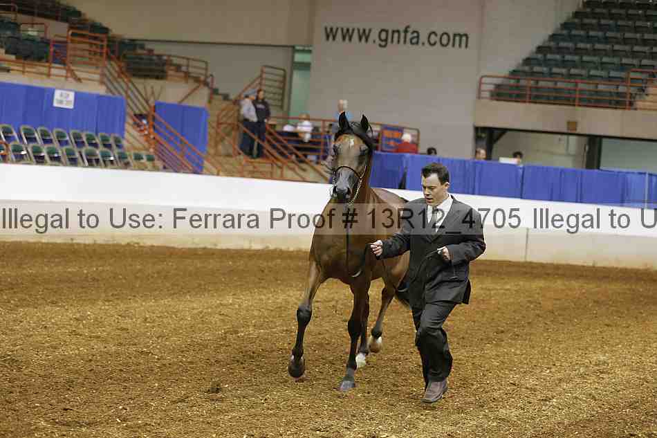Proof 13r12_4705