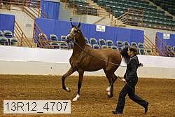 13r12_4707 proof