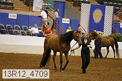 13r12_4709 proof