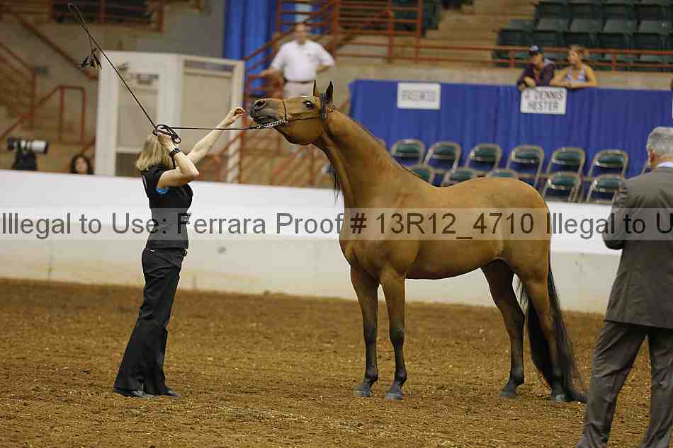 Proof 13r12_4710