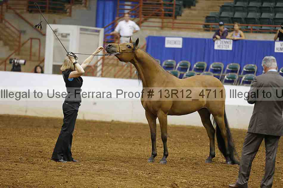 Proof 13r12_4711