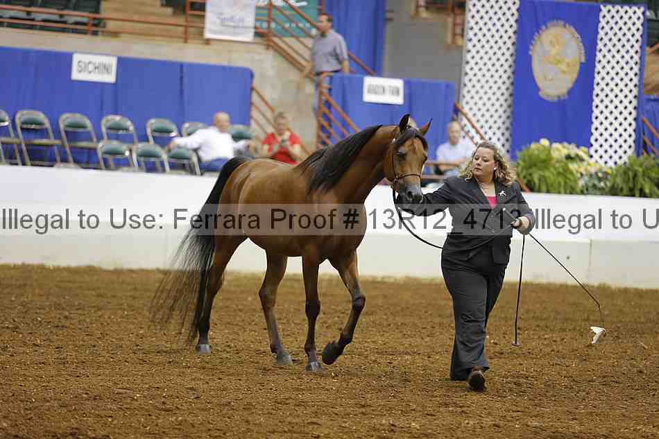Proof 13r12_4713