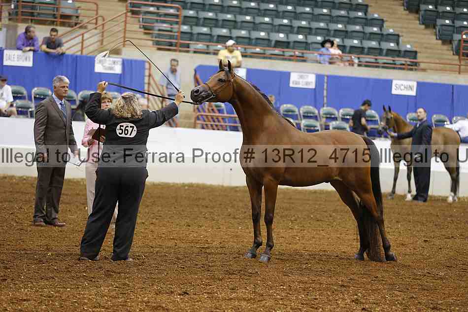 Proof 13r12_4715